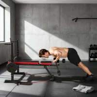 SPORTNOW Panca Fitness con Rack per Pesi, Schienale e Sedile Regolabili, Dip Station, Capacità 420 kg(m-8)
