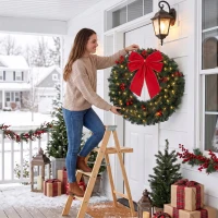 HOMCOM Coroniță de Crăciun de 60 cm cu Lumini LED, Conuri de Brad și Bobițe, Verde(m-8)
