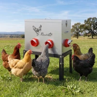 PawHut Mangeoire Automatique à Poulet 27L, 6 Ports, Hauteur Reglable, Couvercle Verrouillable, 42x25x55cm, Acier, Argent(m-10)
