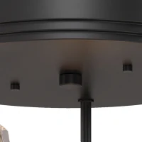 HOMCOM 3-Light Crystal Glass Ceiling Light, Triple Head with Dual Mounting, Modern Ceiling Lamp for Living Room, Black(m-10)