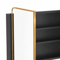 HOMCOM 76.2 x 11.6 x 61 cm Bathroom Mirror Cabinet, Wall Cabinet with Adjustable Shelves, Wall-Mounted or Recessed, Gold Tone(m-13)