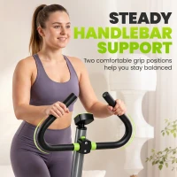 HOMCOM Twister Stepper, Step Machine with Adjustable Resistance, LCD Screen - Grey(m-7)