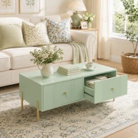 HOMCOM Modern Coffee Table, Living Room Table with Storage, 2 Drawers and Metal legs for Bedroom, Light Green(m-8)