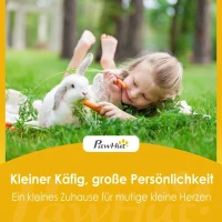 PawHut houten kleindierhok met helling, grijs(m-9)