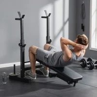 HOMCOM Banco de Musculación con Soporte para Barra y Estación de Dips Carga 220 kg para Entrenamiento en Casa Gimnasio(m-8)