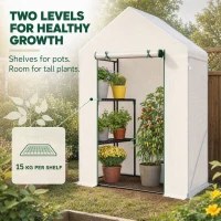 Outsunny Walk In Greenhouse with 2 Tier Shelf, Portable Gardening Plant Grow House Tomato Greenhouse with Roll up Zip Panel Door, Reinforced PE Cover, 143 x 73 x 195cm, Green(m-6)