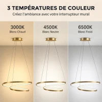 HOMCOM Suspension Luminaire avec 2 Anneaux, Lustre Suspendu LED à 3 Températures de Couleur, Hauteur Réglable, Doré(m-4)