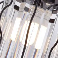 HOMCOM Crystal Ceiling Light Fixtures, Modern Semi-Flush Ceiling Lighting with Crystal Strips, 2 Pack, Black(m-10)