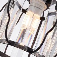 HOMCOM Crystal Ceiling Light Fixtures, Modern Semi-Flush Ceiling Lighting with Crystal Strips, 2 Pack, Black(m-11)