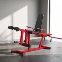 SPORTNOW Machine d'Extension de Jambe 3 en 1 Charge 300 kg, Dossiers et Positions Réglables, Disques Libres, 163x58x118cm, Rouge(m-2)