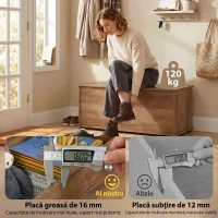 HOMCOM Ladă de Depozitare cu Capac Rabatabil 100x40x40 cm, Maro(m-6)