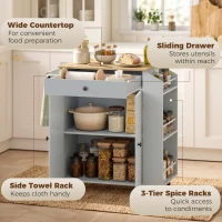 HOMCOM Rolling Kitchen Island with 3-Tier Spice Rack, Kitchen Storage Cart with Drawer and Towel Rack, Light Blue(m-4)