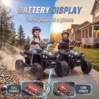 AIYAPLAY 24V 2 Seater Electric Quad Bike for Kids, Ride On Car ATV Toy w/ Forward Backward, for Boys Girls 3-8 Years, Black(m-9)