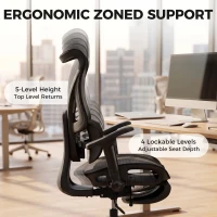HOMCOM Ergonomic Office Chair with Lumbar Support, Mesh Reclining Desk Chair with Footrest, Adjustable High Back, Black(m-4)