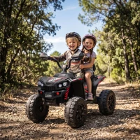 AIYAPLAY 24V 2 Seater Electric Quad Bike for Kids, Ride On Car ATV Toy w/ Forward Backward, for Boys Girls 3-8 Years, Black(m-2)