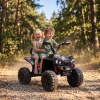 AIYAPLAY 24V 2 Seater Electric Quad Bike for Kids, Ride On Car ATV Toy w/ Forward Backward, for Boys Girls 3-8 Years, Black(m-14)