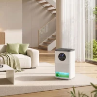 HOMCOM 300mL/Day Small Dehumidifier, RGB Mood Lights, Continuous Drainage, 24H Timer, LED Display, Dehumidifier for Home Damp(m-9)