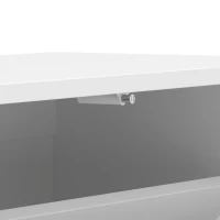 HOMCOM Schoenenkast met 2 kleppen, wandhangende schoenenkast met bovenblad, smalle schoenenopberger voor 6 paar, 70 x 30 x 43 cm, wit(m-9)