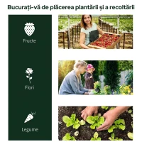 Outsunny Seră de grădină în formă de tunel din oțel cu acoperire din PVC, 200x100x80 cm, transparentă și verde(m-5)