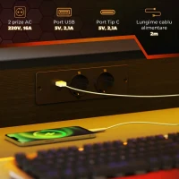 HOMCOM Birou Gaming cu Lumini LED și Suport pentru Monitor, din PAL și Oțel, 100x60x88.5 cm, Negru(m-5)