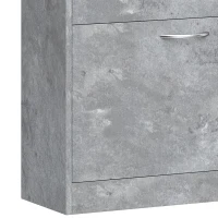 HOMCOM Mueble para Zapatos 12 Pares, Armario para Zapatos Estrecho Moderno, 2 Cajones Abatibles y Estantes Regulables, Gris(m-10)