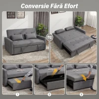 HOMCOM Canapea Extensibilă 2 Locuri 3 în 1, Tip In, cu 2 Perne, Extractibilă Click-Clack, Gri(m-4)