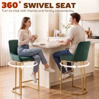 HOMCOM Bar Stools Set of 2 with Backrest, Footrest, Gold Electroplated Legs for Kitchen Island, Dining Room, Dark Green(m-7)