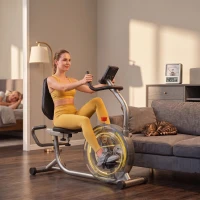 SPORTNOW Bicicletă Fitness Orizontală Magnetică cu Spătar și Monitor LCD(m-6)