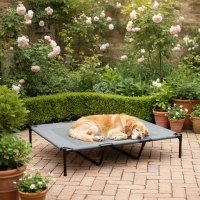 PawHut Cama Elevada para Perros Grandes Cama para Perros con Zona de Malla Transpirable y Bolsa 122x92x23 cm Gris Claro(m-10)