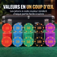 SPORTNOW Mallette de Poker 500 Jetons 5 Valeurs, 2 Jeux de Cartes, Tapis de Jeu, Bouton Dealer, Blind, Alu, 31x17x11,5cm, Noir(m-5)