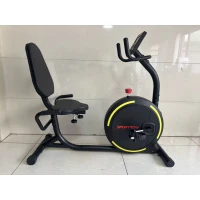 SPORTNOW Recumbent Exercise Bike for Home, Indoor Stationary Bike for Seniors with App Connectivity, 0-100% Magnetic Resistance(m-3)