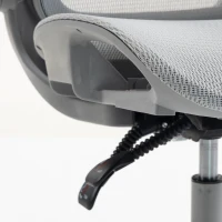HOMCOM Ergonomic Office Chair with Adaptive Lumbar Support, Reclining Mesh Desk Chair with 2D Headrest, Flip-Up Arms, Grey(m-10)