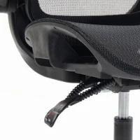 HOMCOM Ergonomic Office Chair with Adaptive Lumbar Support, Reclining Mesh Desk Chair with 2D Headrest, Flip-Up Arms, Black(m-10)