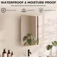 HOMCOM 50.8 x 11.6 x 71 cm Bathroom Mirror Cabinet, Wall Cabinet with Adjustable Shelves, Wall-Mounted or Recessed, Gold Tone(m-7)