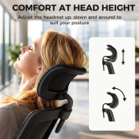 HOMCOM Ergonomic Office Chair with Adaptive Lumbar Support, Reclining Mesh Desk Chair with 2D Headrest, Flip-Up Arms, Black(m-6)