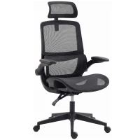 HOMCOM Ergonomic Office Chair with Adaptive Lumbar Support, Reclining Mesh Desk Chair with 2D Headrest, Flip-Up Arms, Black(m-15)