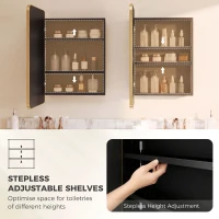 HOMCOM 50.8 x 11.6 x 71 cm Bathroom Mirror Cabinet, Wall Cabinet with Adjustable Shelves, Wall-Mounted or Recessed, Gold Tone(m-6)