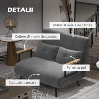 HOMCOM Canapea extensibilă 3 în 1 din material cu efect de catifea cu spătar reglabil și 2 perne, 102x73x81 cm, gri închis(m-6)