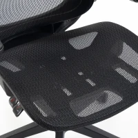 HOMCOM Ergonomic Office Chair with Adaptive Lumbar Support, Reclining Mesh Desk Chair with 2D Headrest, Flip-Up Arms, Black(m-11)