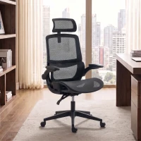 HOMCOM Ergonomic Office Chair with Adaptive Lumbar Support, Reclining Mesh Desk Chair with 2D Headrest, Flip-Up Arms, Black(m-14)