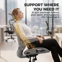 HOMCOM Ergonomic Office Chair with Adaptive Lumbar Support, Reclining Mesh Desk Chair with 2D Headrest, Flip-Up Arms, Grey(m-4)