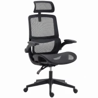 HOMCOM Ergonomic Office Chair with Adaptive Lumbar Support, Reclining Mesh Desk Chair with 2D Headrest, Flip-Up Arms, Black(m-1)