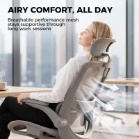 HOMCOM Ergonomic Office Chair with Adaptive Lumbar Support, Reclining Mesh Desk Chair with 2D Headrest, Flip-Up Arms, Grey(m-7)