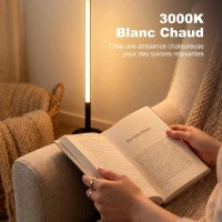 HOMCOM Lot de 2 Lampadaires d'Angle LED 1450lm Lampe d'Angle Dimmable 150cm 3 Niveaux de Luminosité Interrupteur au Pied Noir(m-6)