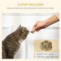PawHut Two-In-One Cat House, Cat Scratching Board with Scratcher, Catnip, Cat Cardboard Scratcher for Indoor Cats(m-6)