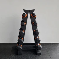 SPORTNOW 5-Tier Dumbbell Rack, A-Frame Weight Stand with Protective Washers, Non-Slip Feet, Space-Saving Storage for Home Gym(m-9)