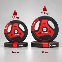 SPORTNOW Dischi Palestra con Maniglie, 20 kg, Foro 2.5cm, Set 4(m-3)
