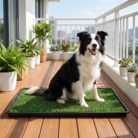 PawHut Lettiera per Cani con Prato Sintetico, Vassoio e Sistema di Drenaggio, 88x56.5 cm per Interni ed Esterni, Verde(m-8)