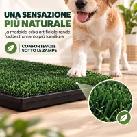 PawHut Lettiera per Cani con Prato Sintetico, Vassoio e Sistema di Drenaggio, 88x56.5 cm per Interni ed Esterni, Verde(m-6)