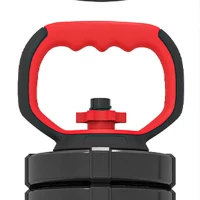 SPORTNOW Conjunto de Halteres Ajustáveis 5 em 1 30 kg Barra e Kettlebell(m-13)